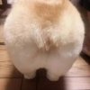 深度解析