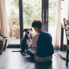 主页 / 智慧建筑 / 工业安全 /