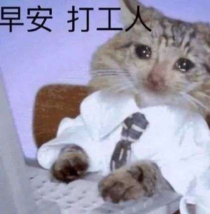 看到网传美团应届生薪资 35w+的消